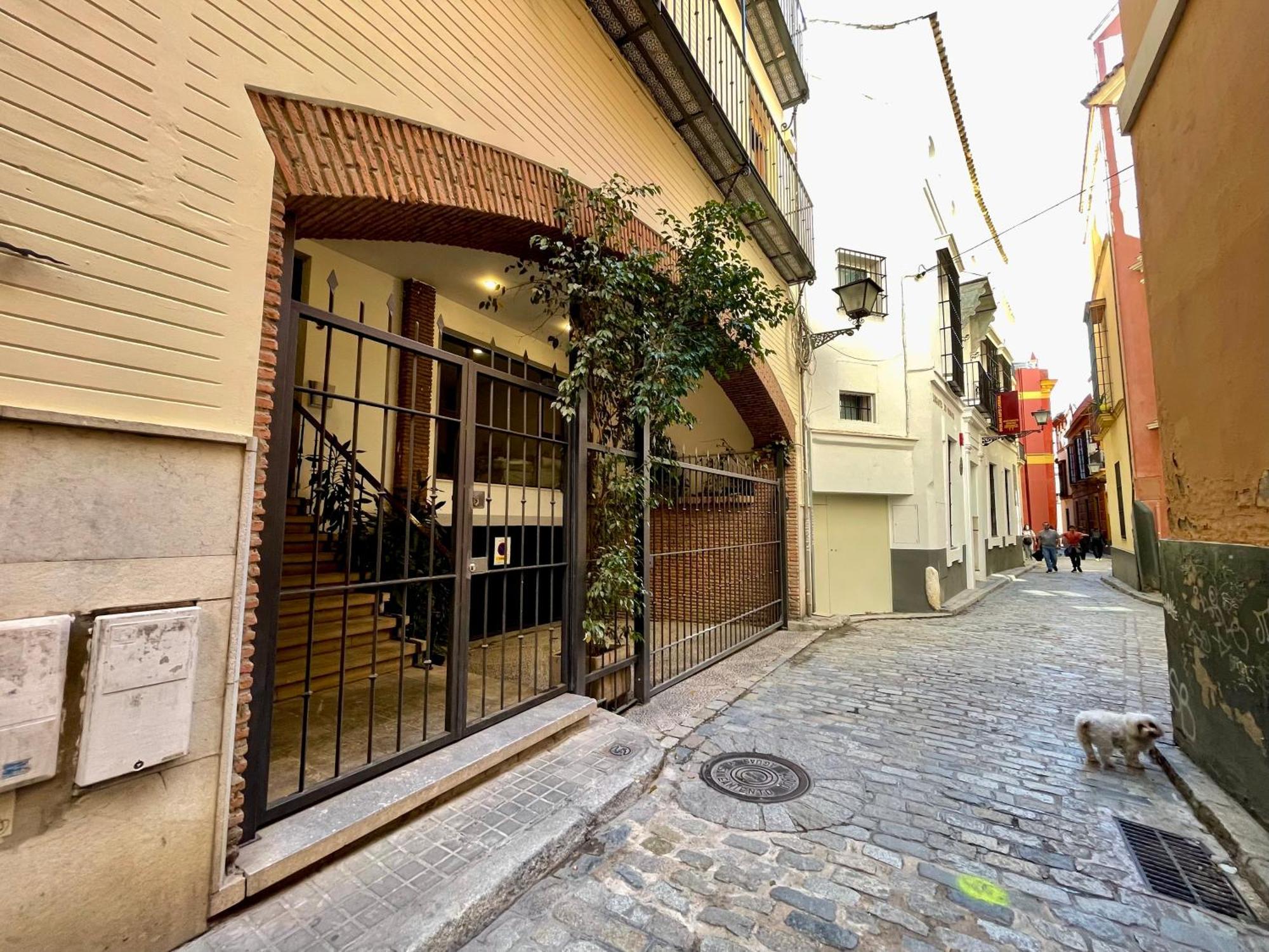 Eva Recommends Catedral Confort 塞维利亚 外观 照片
